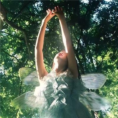 向往的生活老友记